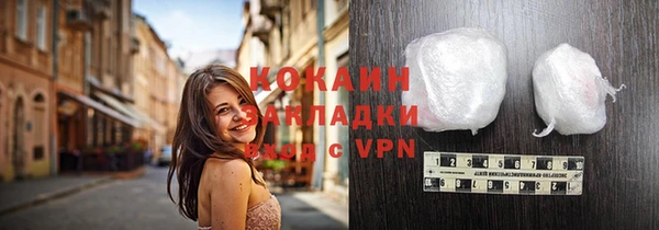индика Абинск