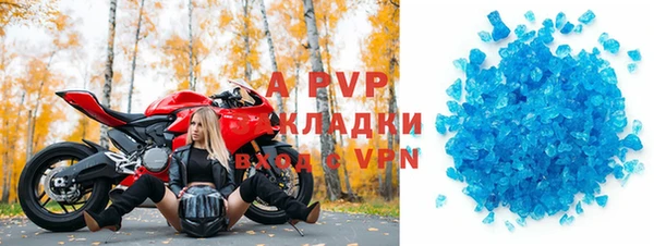 молекула духа Покров