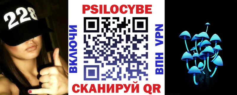 хочу наркоту  Жердевка  Псилоцибиновые грибы Psilocybine cubensis 
